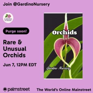 Gardino Nursery live sale on Palmstreet