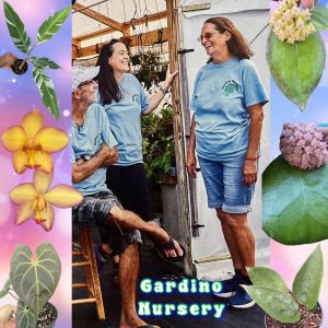 Gardino Nursery live sale on Palmstreet